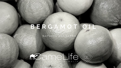 Bergamot Oil and Acne