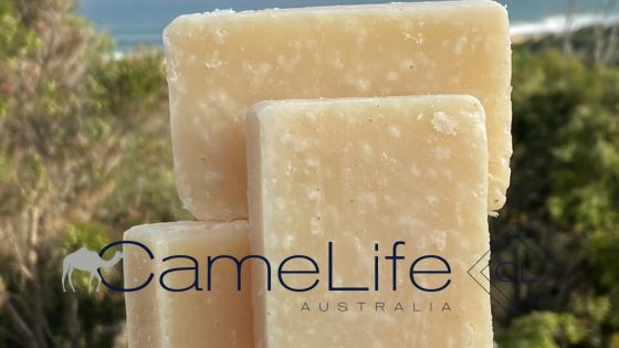 Camel Urine Skincare?