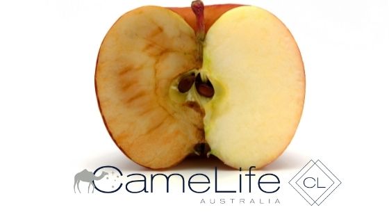 Anti-Oxidants and Free Radicals