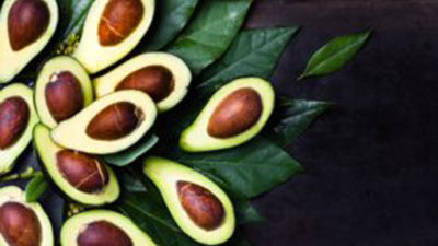 Avocado Oil