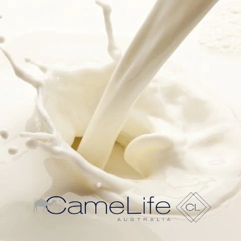 How Camel Milk Enhances Menopausal Relief