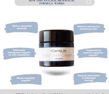 How Does Wild Yam Cream Work for Menopause Symptoms?